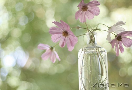 ҵ· (6)